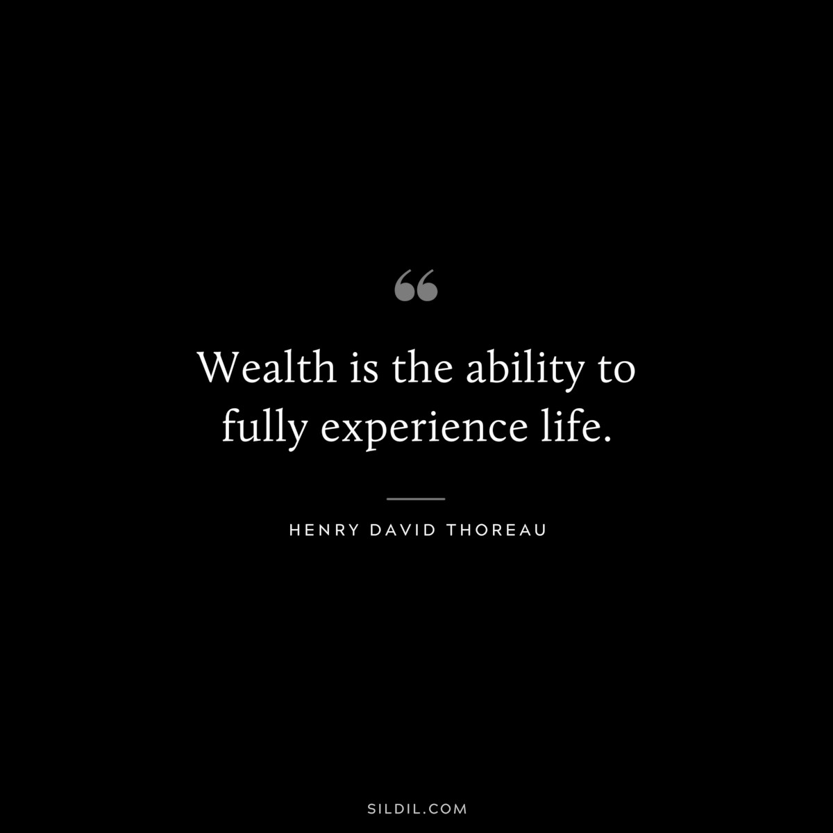 Wealth is the ability to fully experience life. — Henry David Thoreau