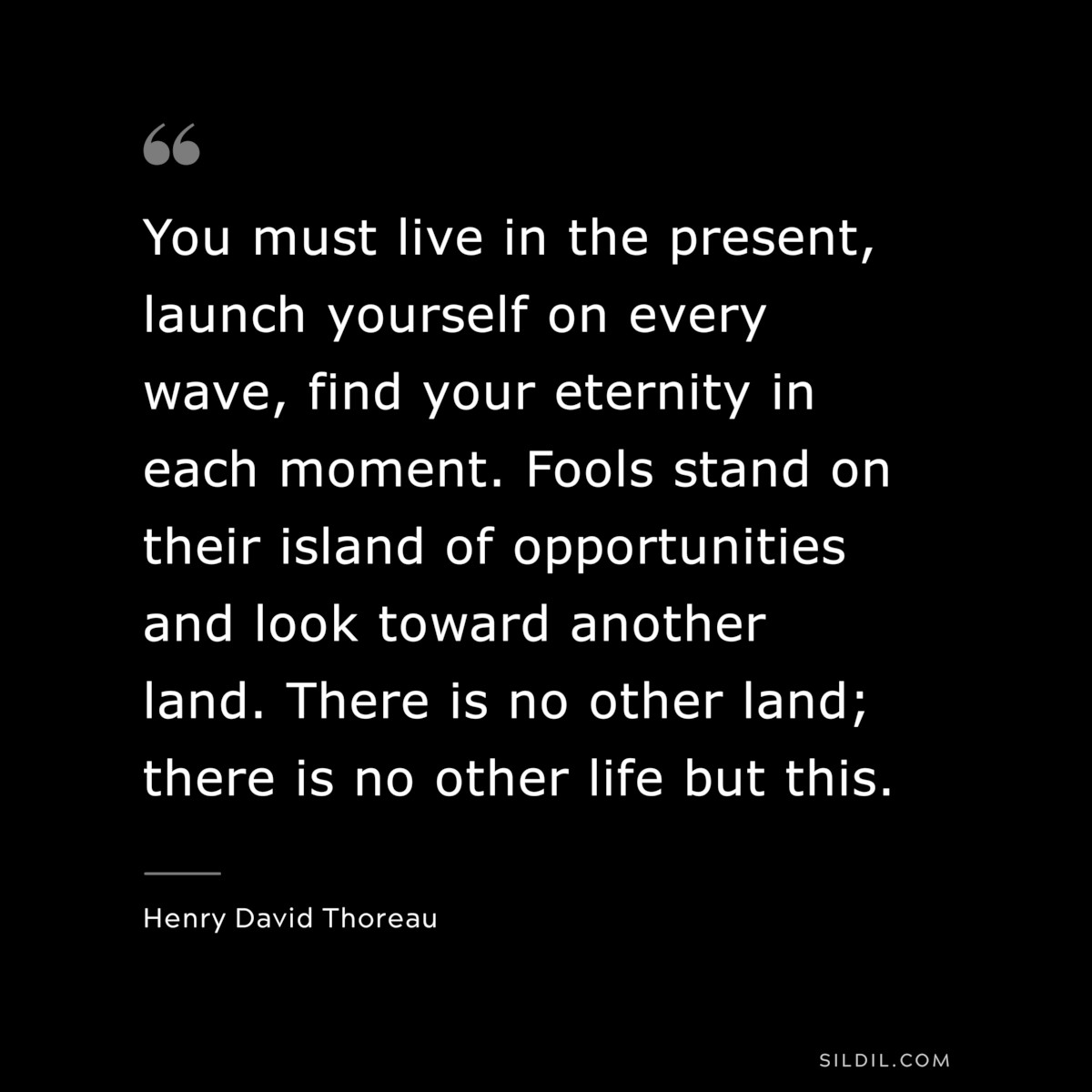You must live in the present, launch yourself on every wave, find your eternity in each moment. Fools stand on their island of opportunities and look toward another land. There is no other land; there is no other life but this. — Henry David Thoreau