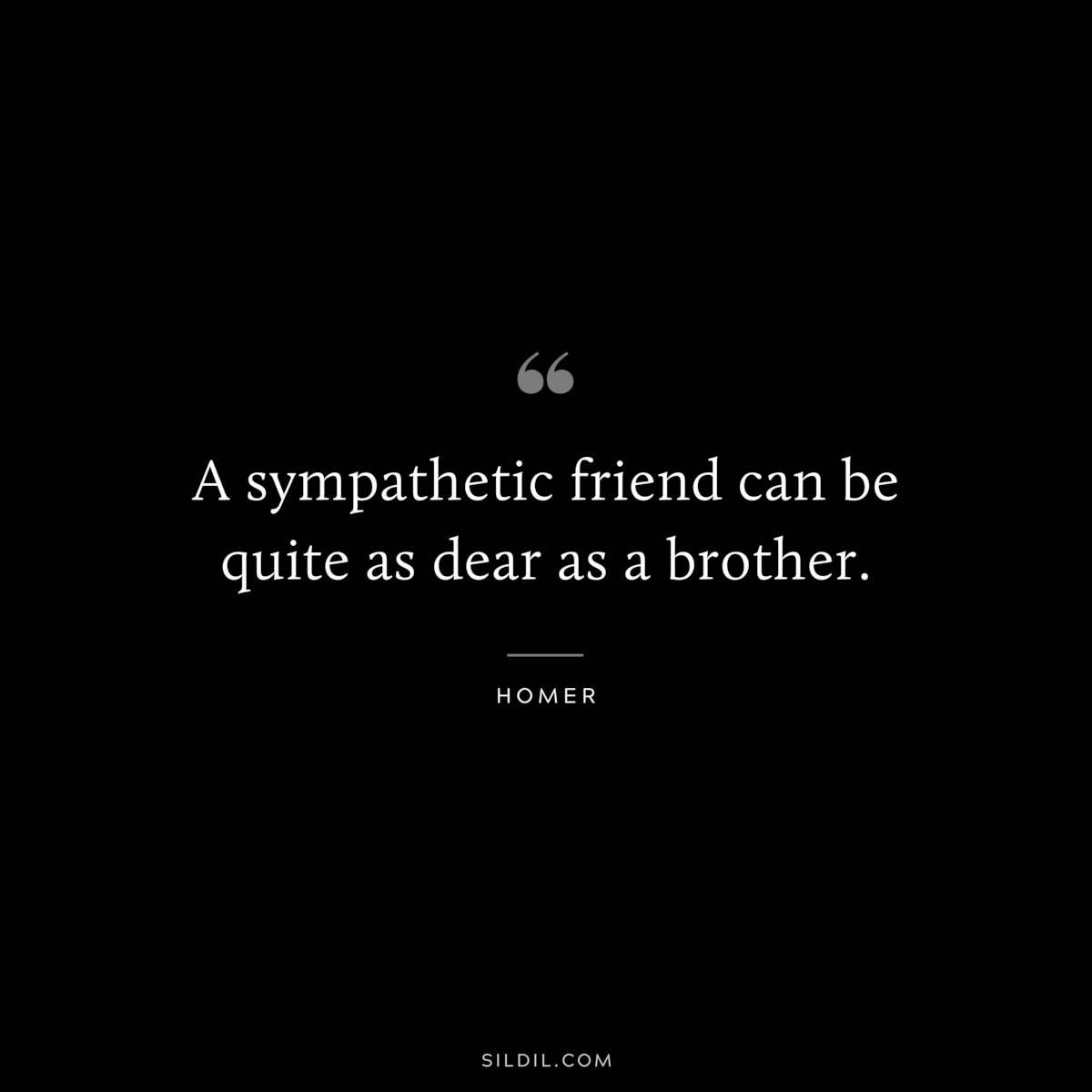A sympathetic friend can be quite as dear as a brother. ― Homer