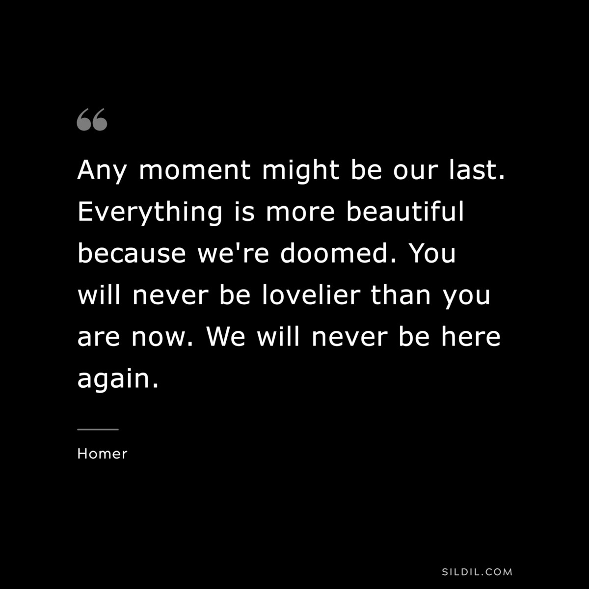 Any moment might be our last. Everything is more beautiful because we're doomed. You will never be lovelier than you are now. We will never be here again. ― Homer