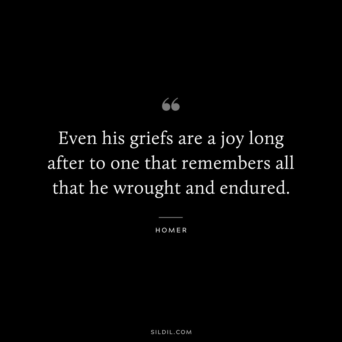 Even his griefs are a joy long after to one that remembers all that he wrought and endured. ― Homer