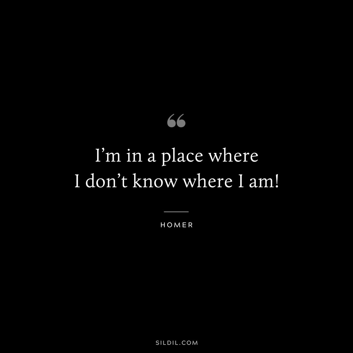I’m in a place where I don’t know where I am! ― Homer