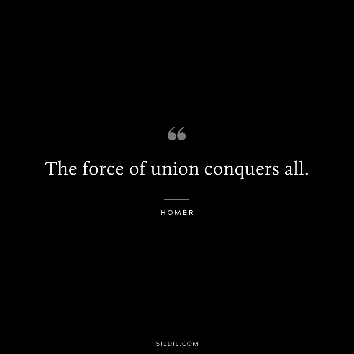 The force of union conquers all. ― Homer