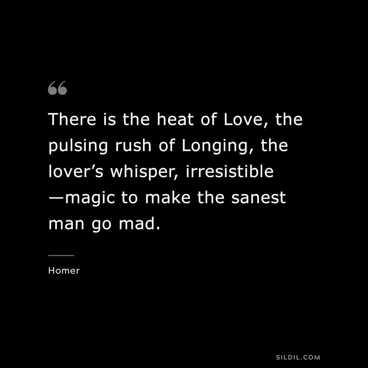 There is the heat of Love, the pulsing rush of Longing, the lover’s whisper, irresistible—magic to make the sanest man go mad. ― Homer