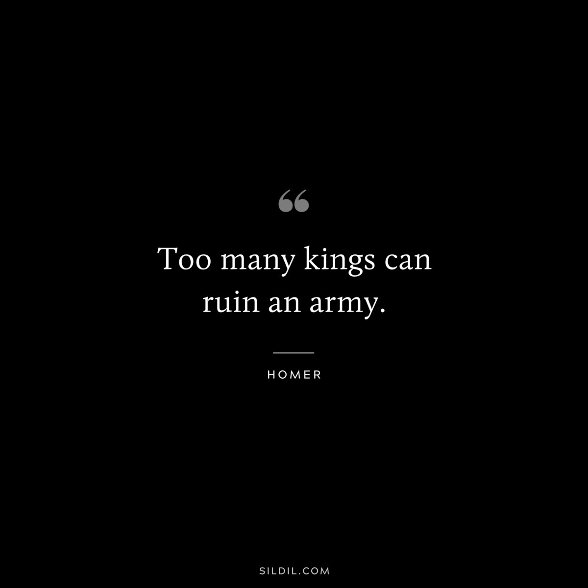 Too many kings can ruin an army. ― Homer