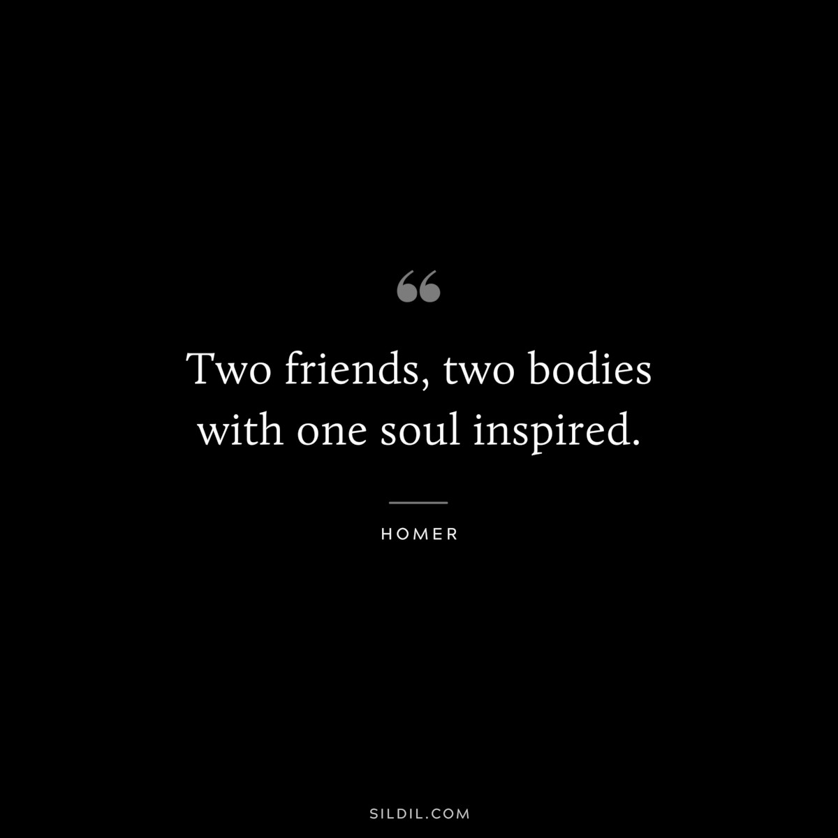 Two friends, two bodies with one soul inspired. ― Homer