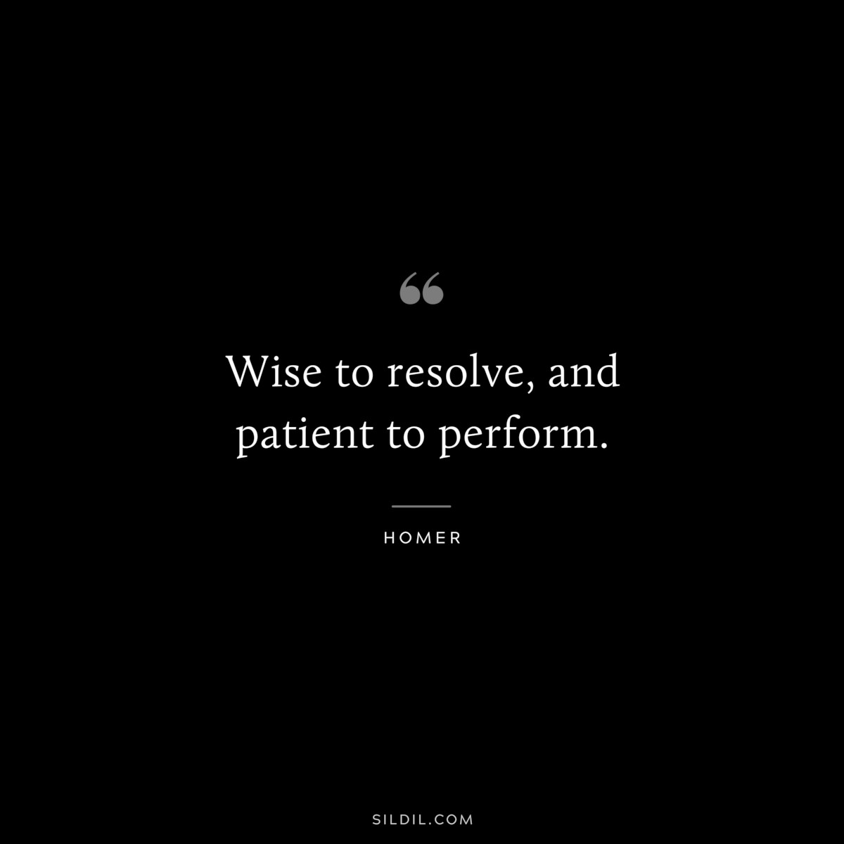 Wise to resolve, and patient to perform. ― Homer