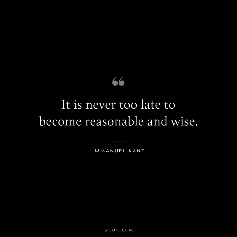 It is never too late to become reasonable and wise. — Immanuel Kant