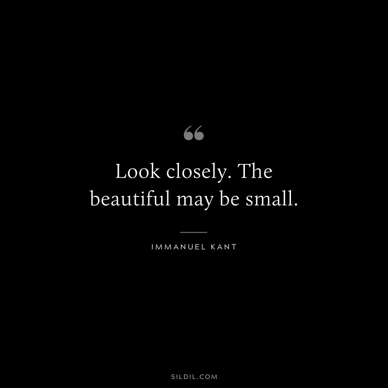 Look closely. The beautiful may be small. — Immanuel Kant