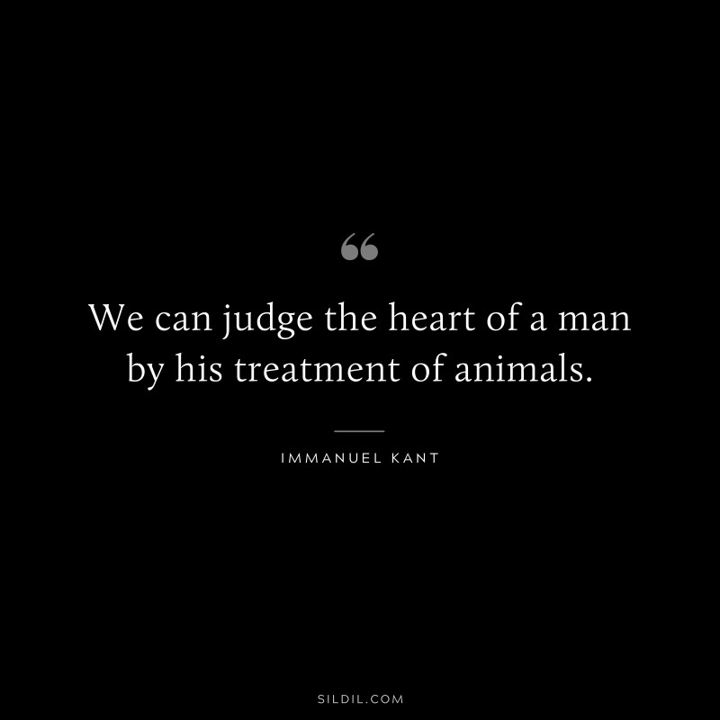 We can judge the heart of a man by his treatment of animals. — Immanuel Kant