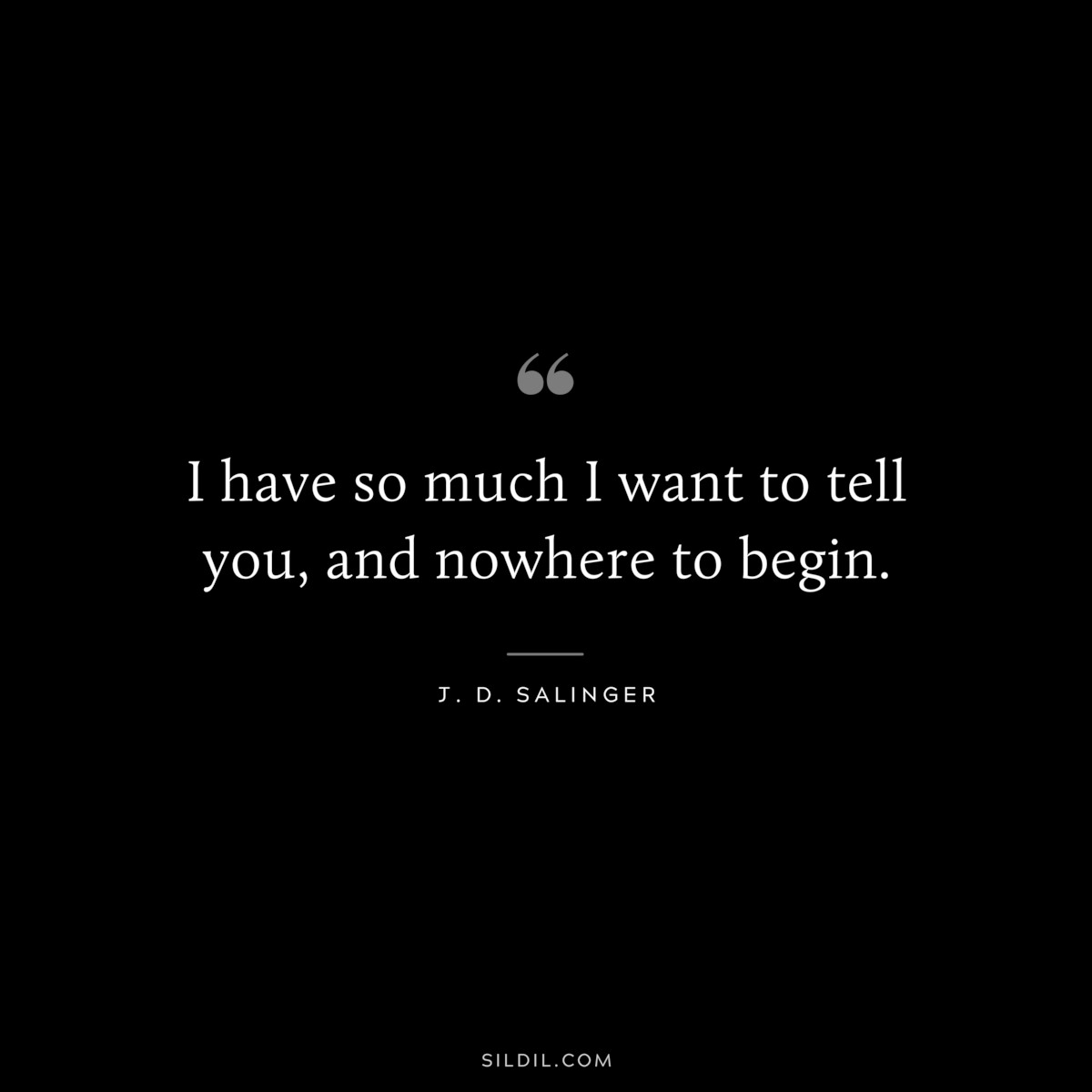 I have so much I want to tell you, and nowhere to begin. — J. D. Salinger