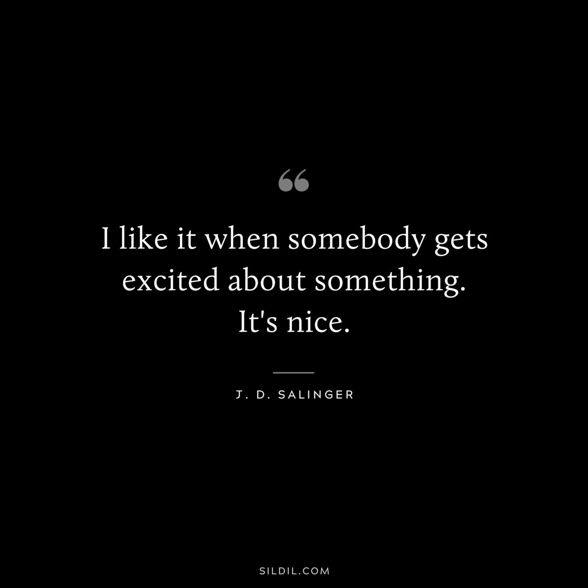 I like it when somebody gets excited about something. It's nice. — J. D. Salinger