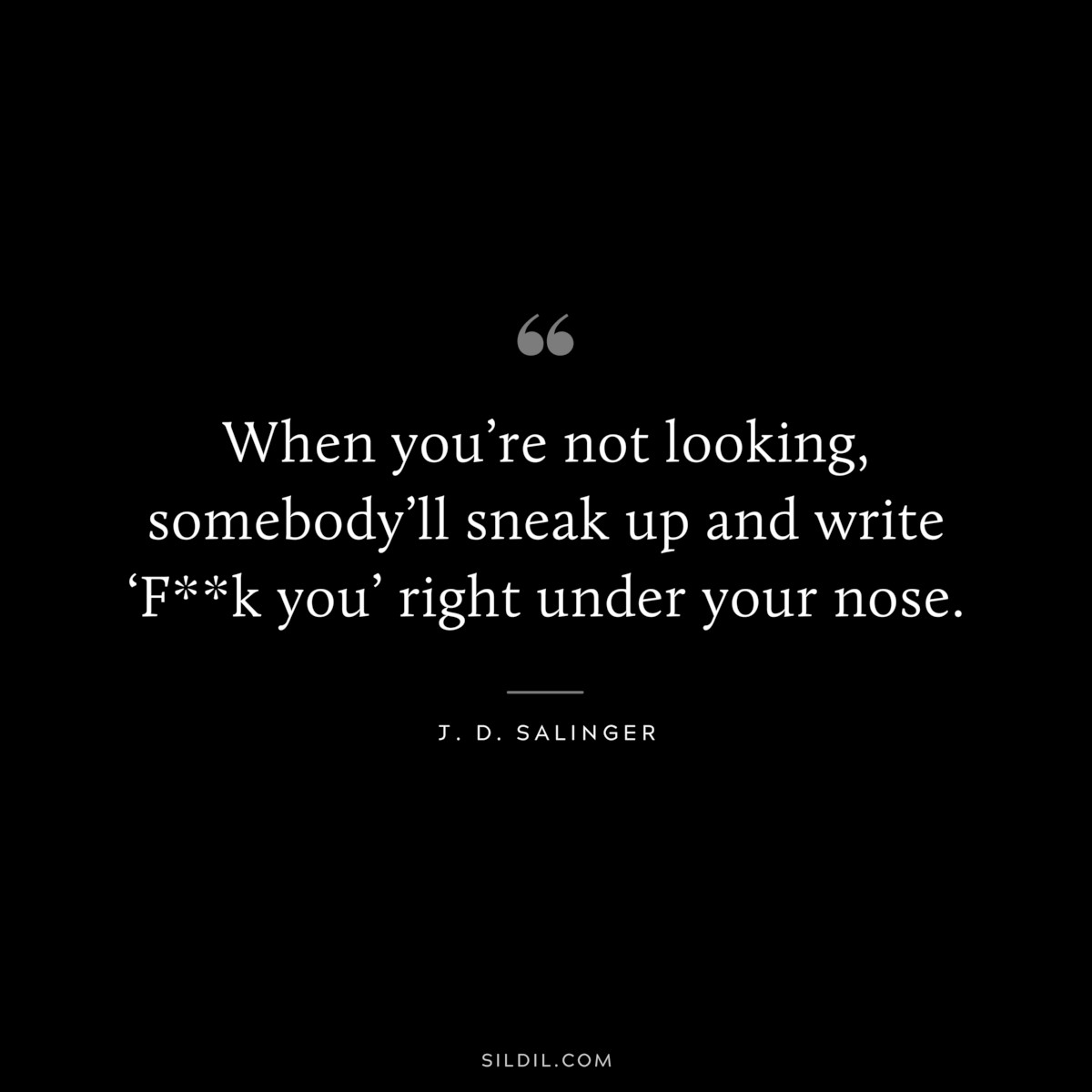 When you’re not looking, somebody’ll sneak up and write ‘F**k you’ right under your nose. — J. D. Salinger