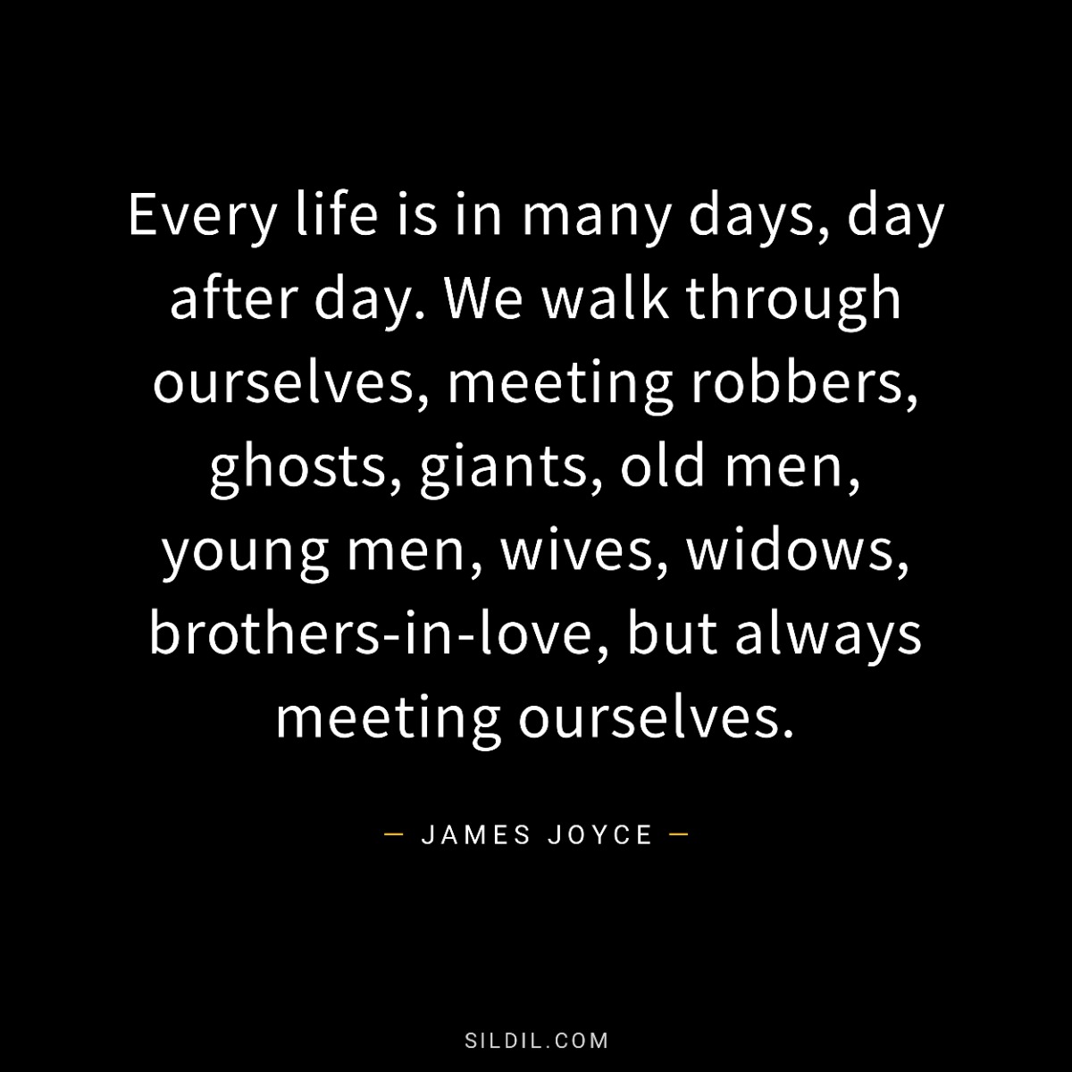 Every life is in many days, day after day. We walk through ourselves, meeting robbers, ghosts, giants, old men, young men, wives, widows, brothers-in-love, but always meeting ourselves.