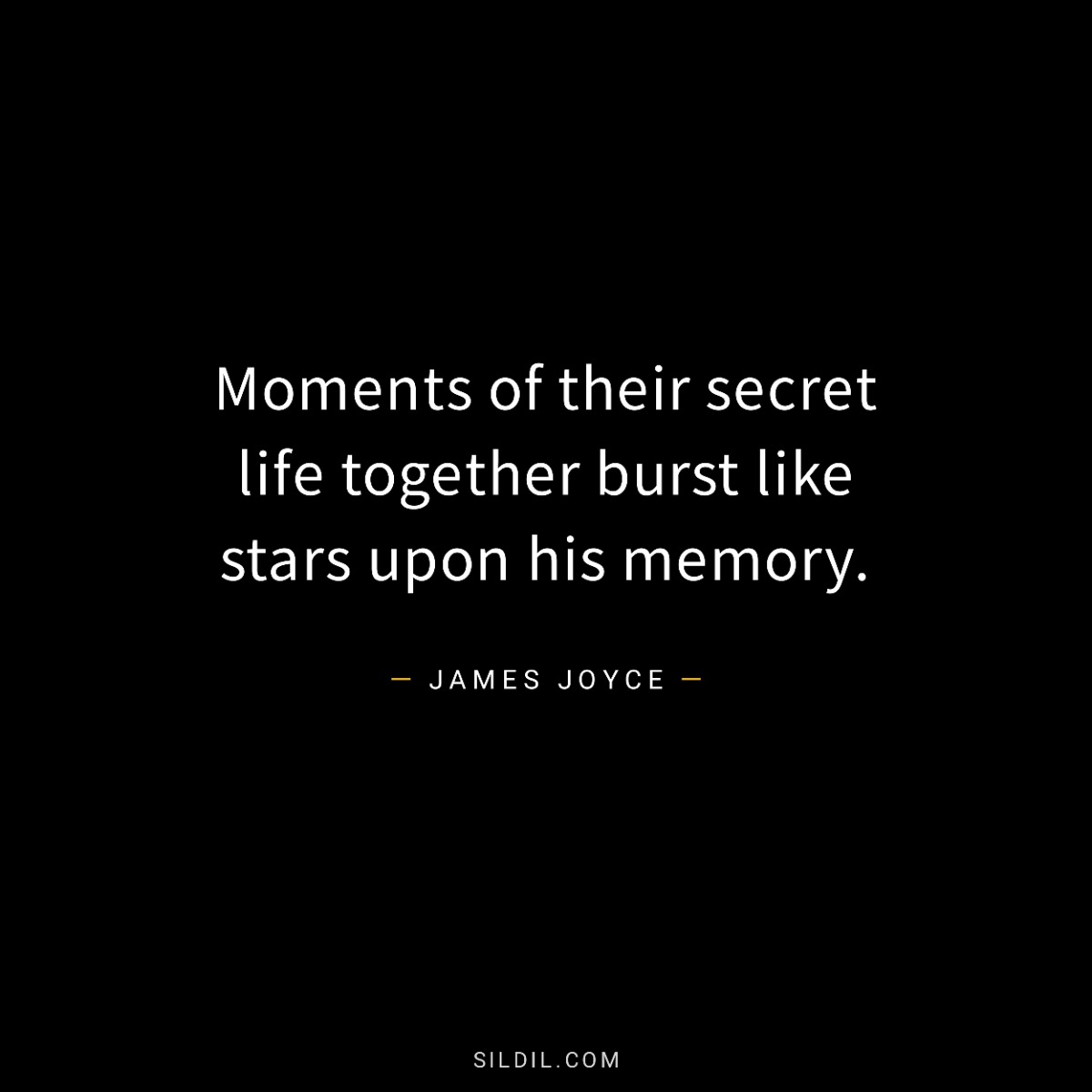Moments of their secret life together burst like stars upon his memory.