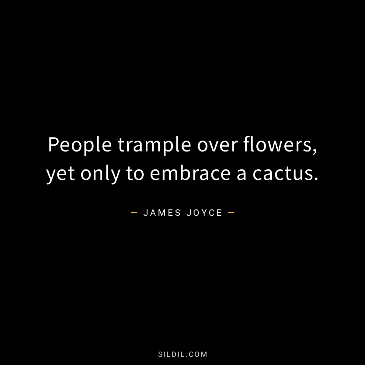 People trample over flowers, yet only to embrace a cactus.