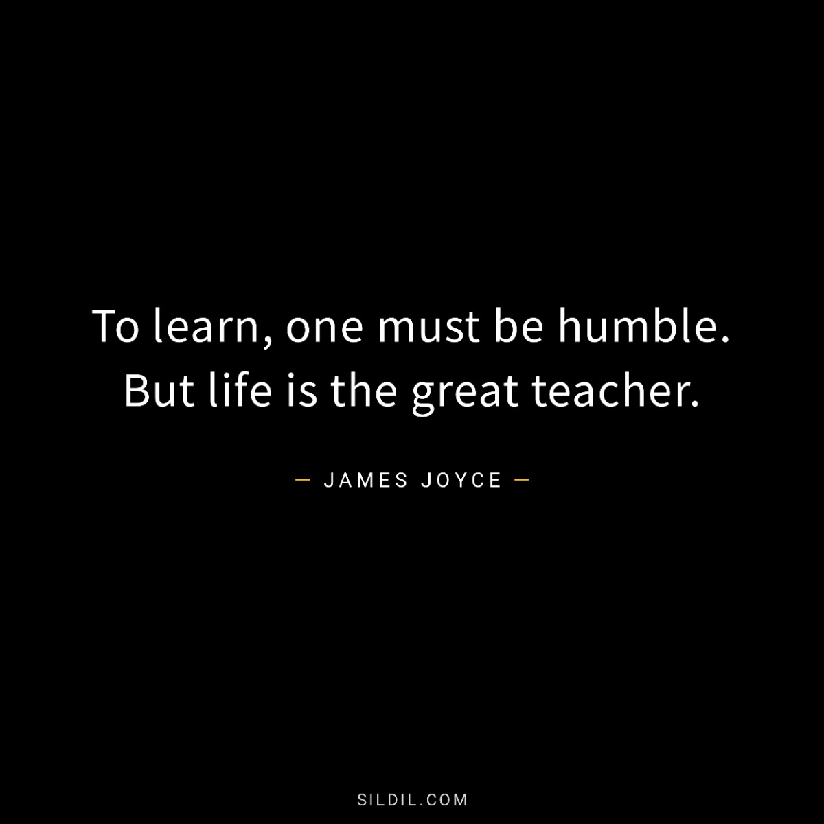 To learn, one must be humble. But life is the great teacher.