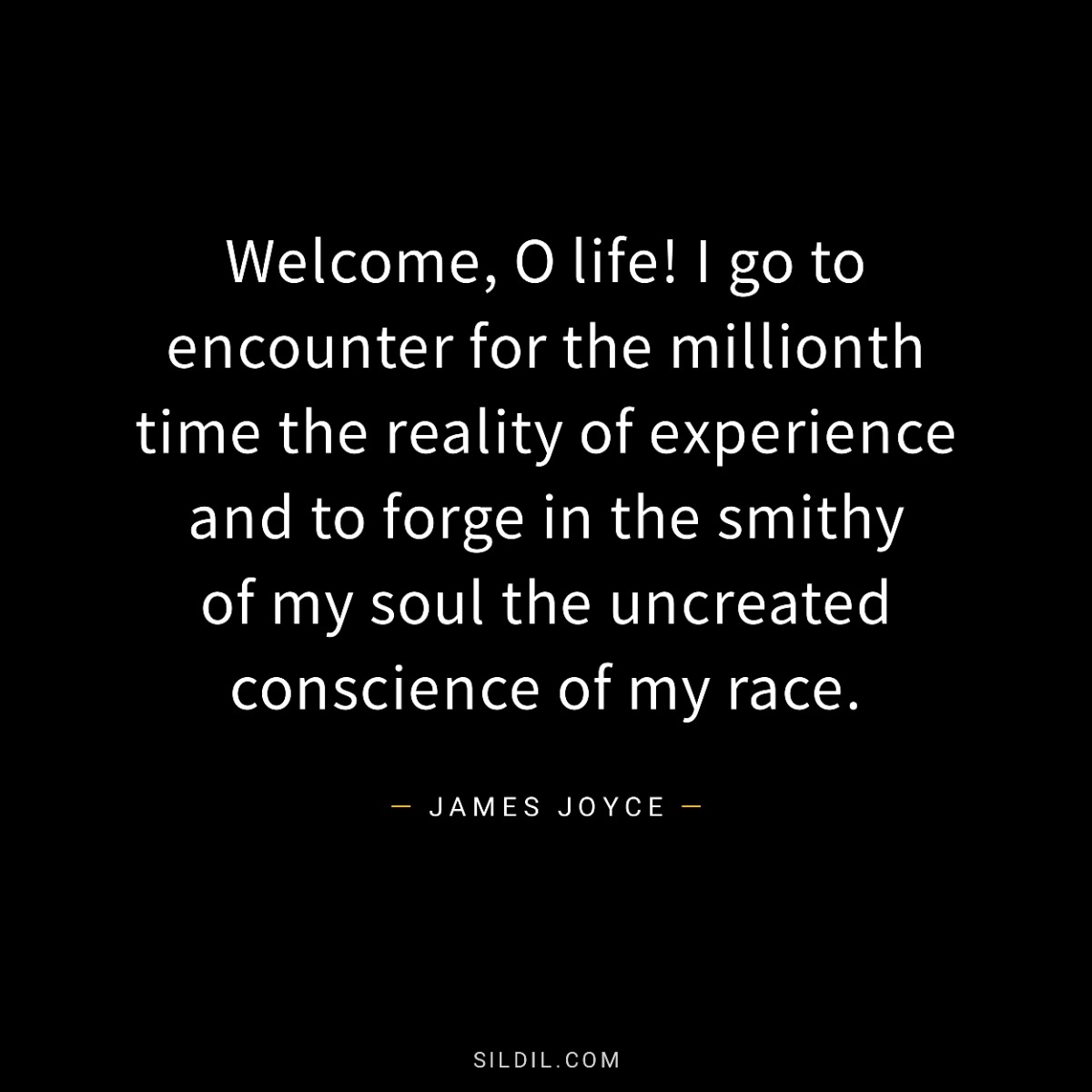 Welcome, O life! I go to encounter for the millionth time the reality of experience and to forge in the smithy of my soul the uncreated conscience of my race.