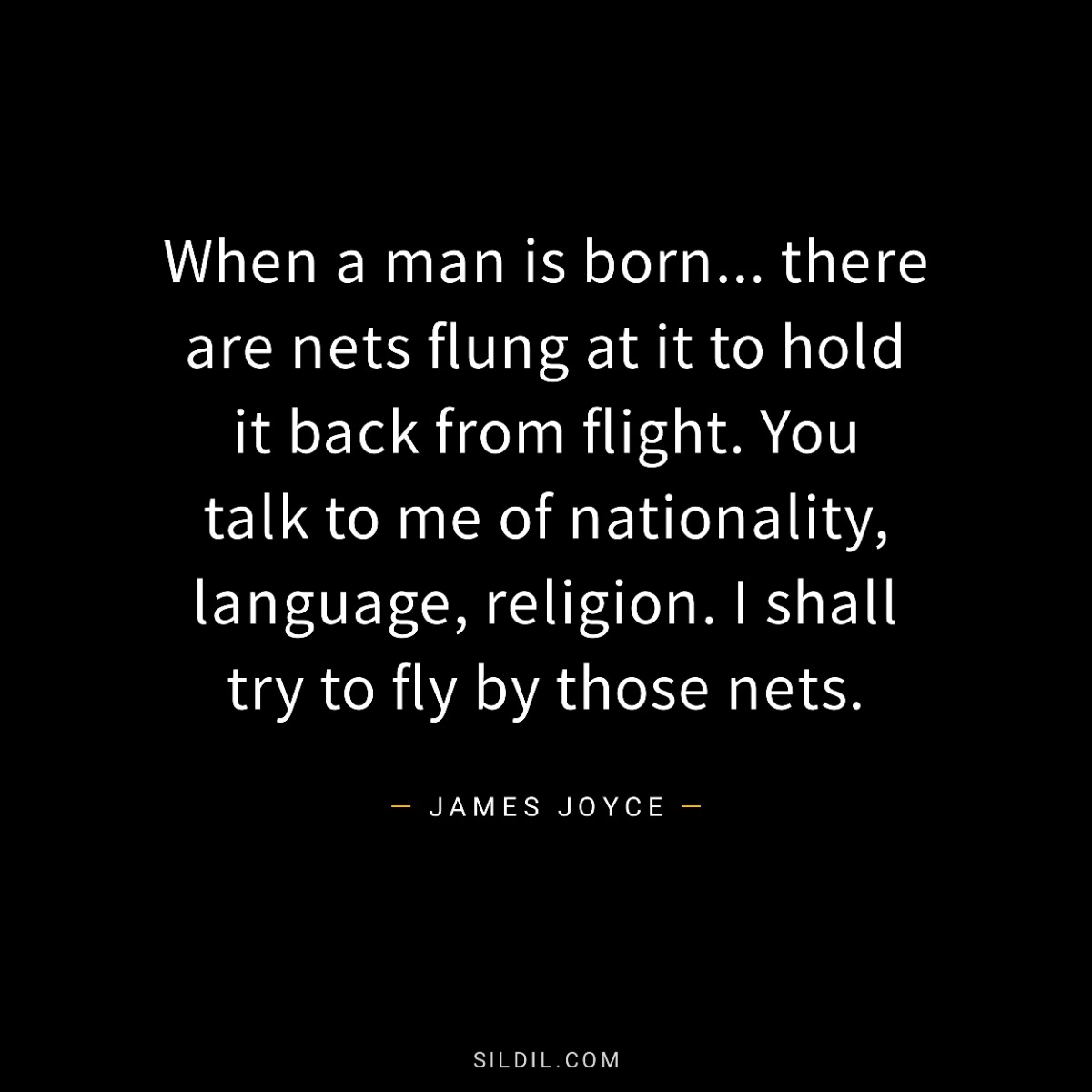 When a man is born... there are nets flung at it to hold it back from flight. You talk to me of nationality, language, religion. I shall try to fly by those nets.
