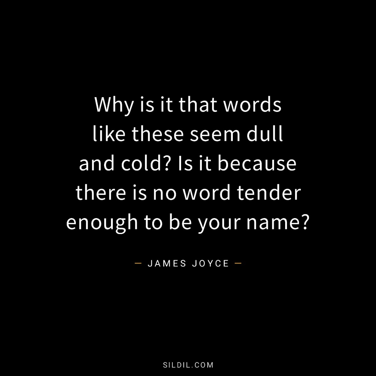 Why is it that words like these seem dull and cold? Is it because there is no word tender enough to be your name?