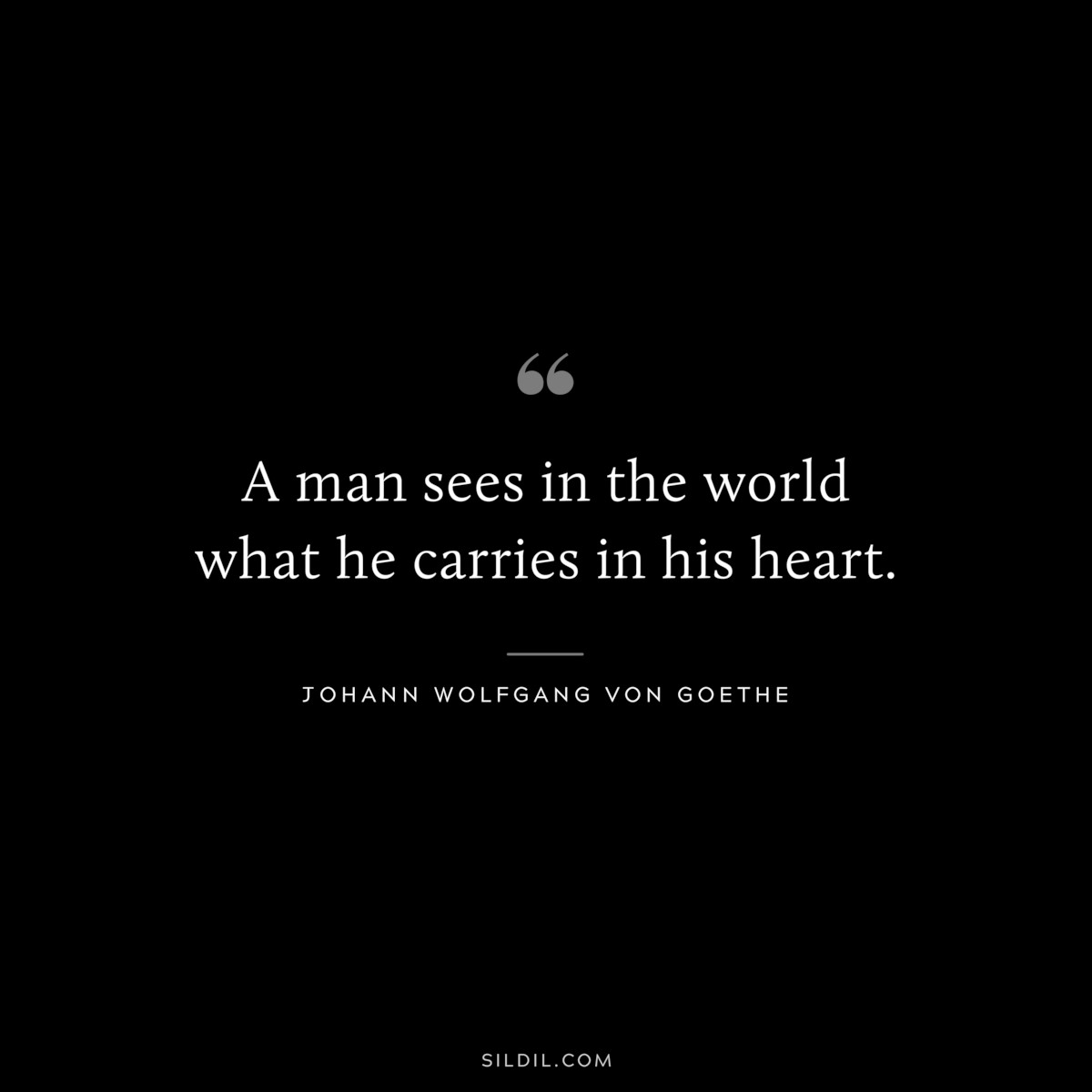 A man sees in the world what he carries in his heart.― Johann Wolfgang von Goethe