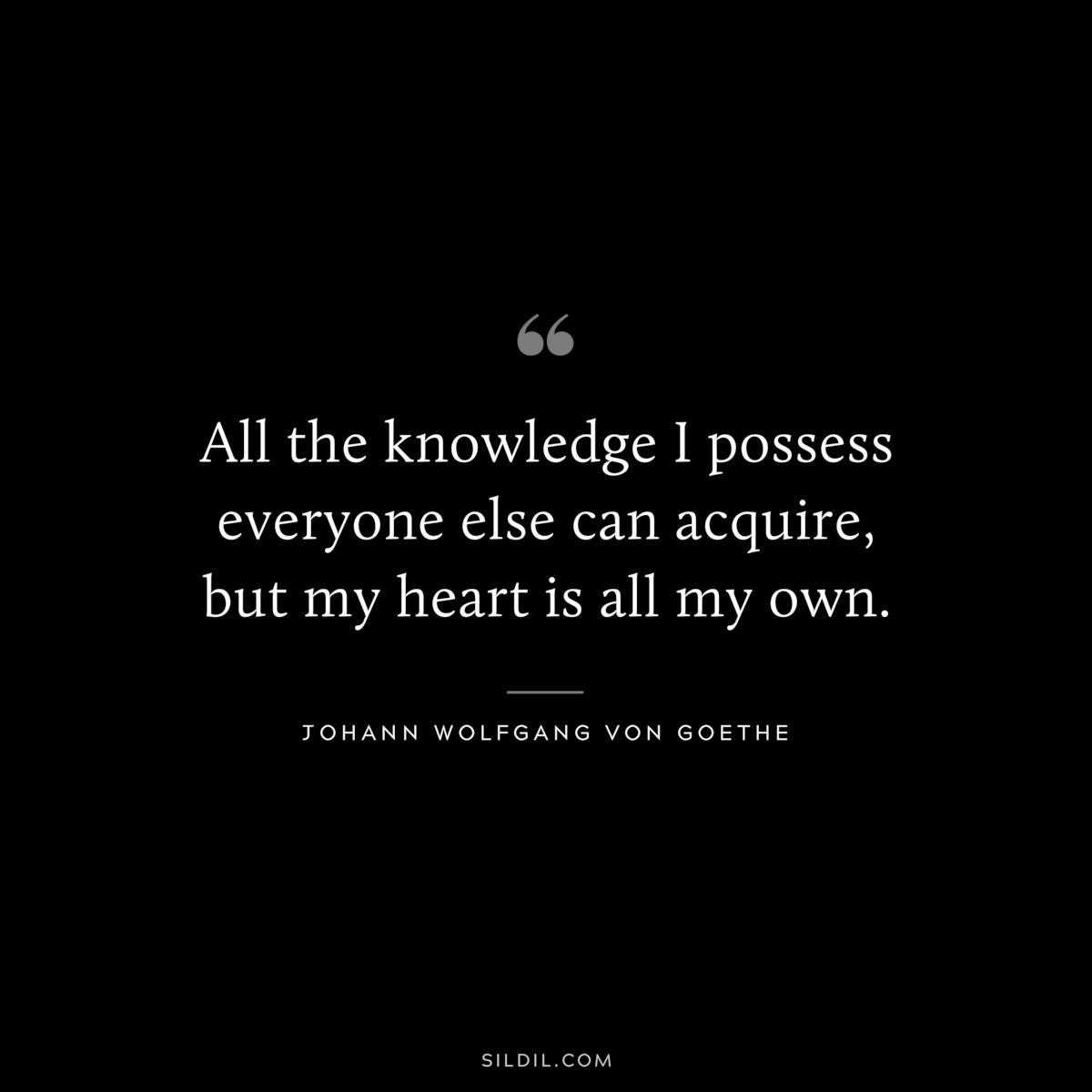 All the knowledge I possess everyone else can acquire, but my heart is all my own.― Johann Wolfgang von Goethe