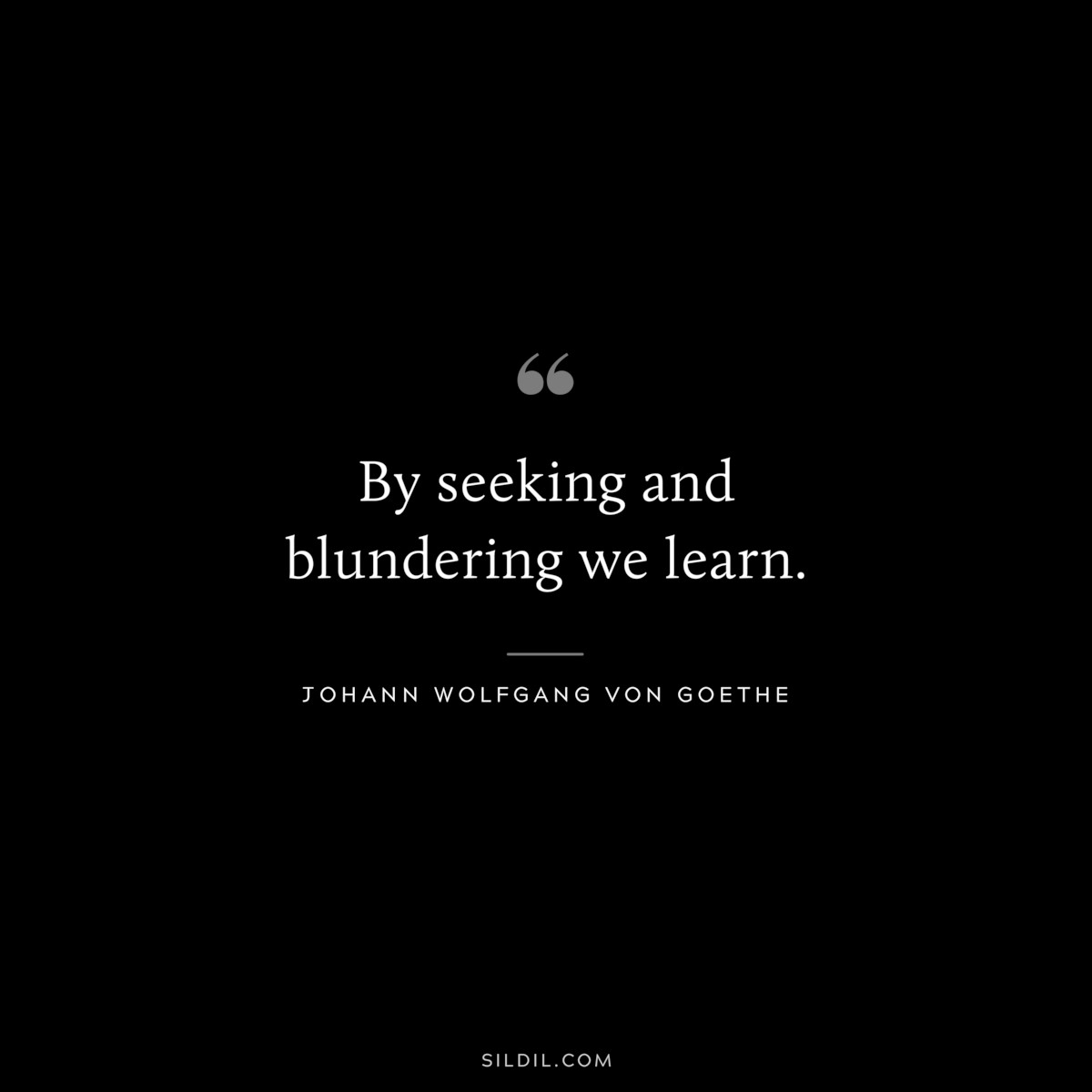 By seeking and blundering we learn.― Johann Wolfgang von Goethe