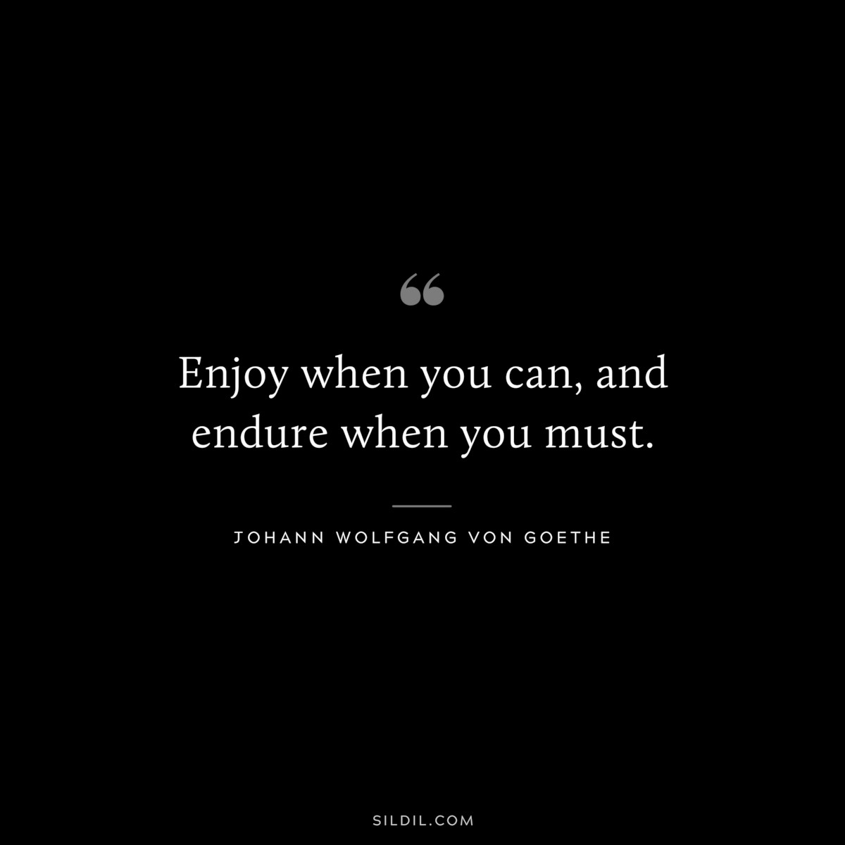 Enjoy when you can, and endure when you must.― Johann Wolfgang von Goethe