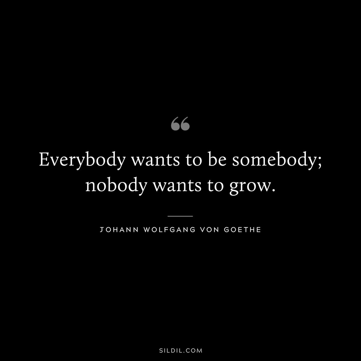 Everybody wants to be somebody; nobody wants to grow.― Johann Wolfgang von Goethe