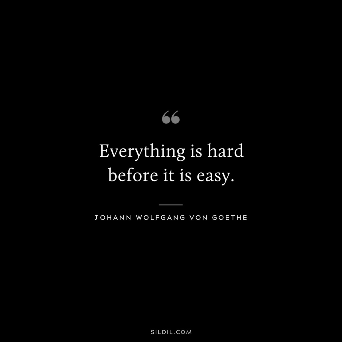 Everything is hard before it is easy.― Johann Wolfgang von Goethe