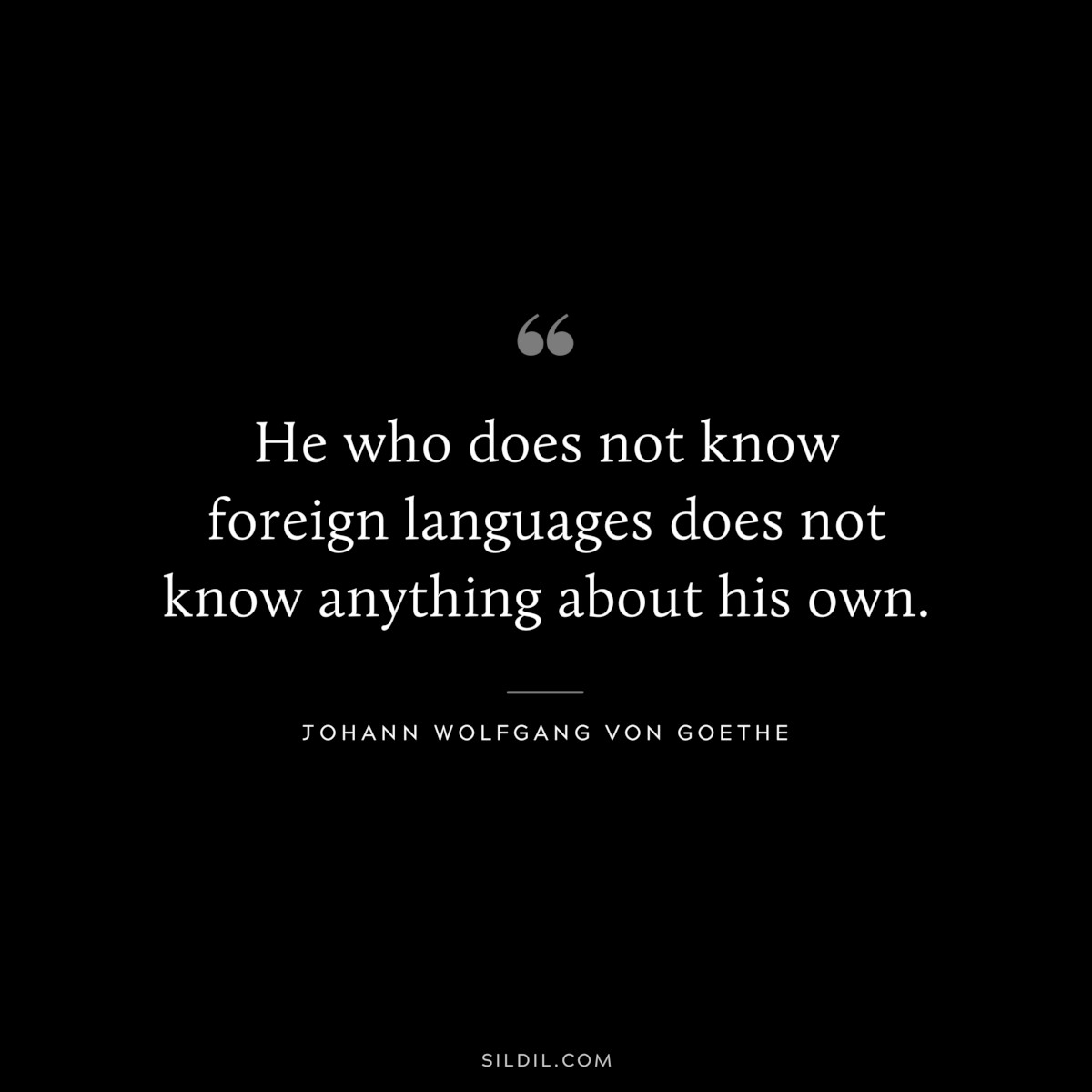 He who does not know foreign languages does not know anything about his own.― Johann Wolfgang von Goethe