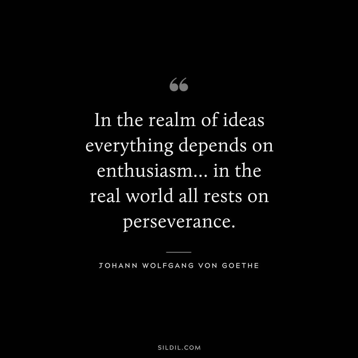 In the realm of ideas everything depends on enthusiasm… in the real world all rests on perseverance.― Johann Wolfgang von Goethe