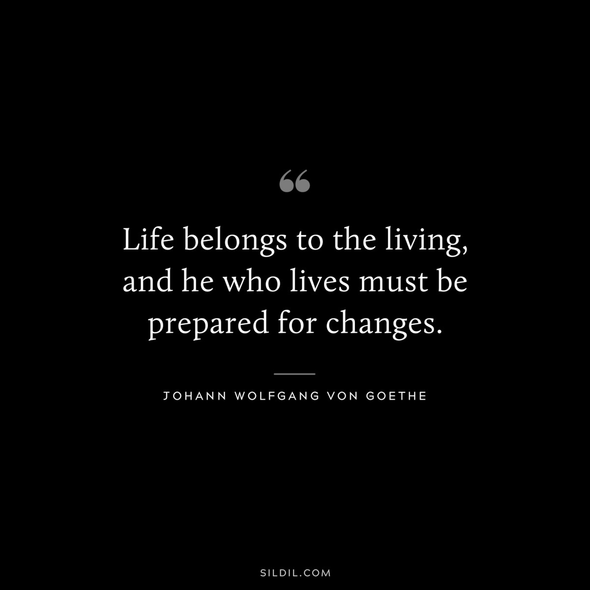 Life belongs to the living, and he who lives must be prepared for changes.― Johann Wolfgang von Goethe