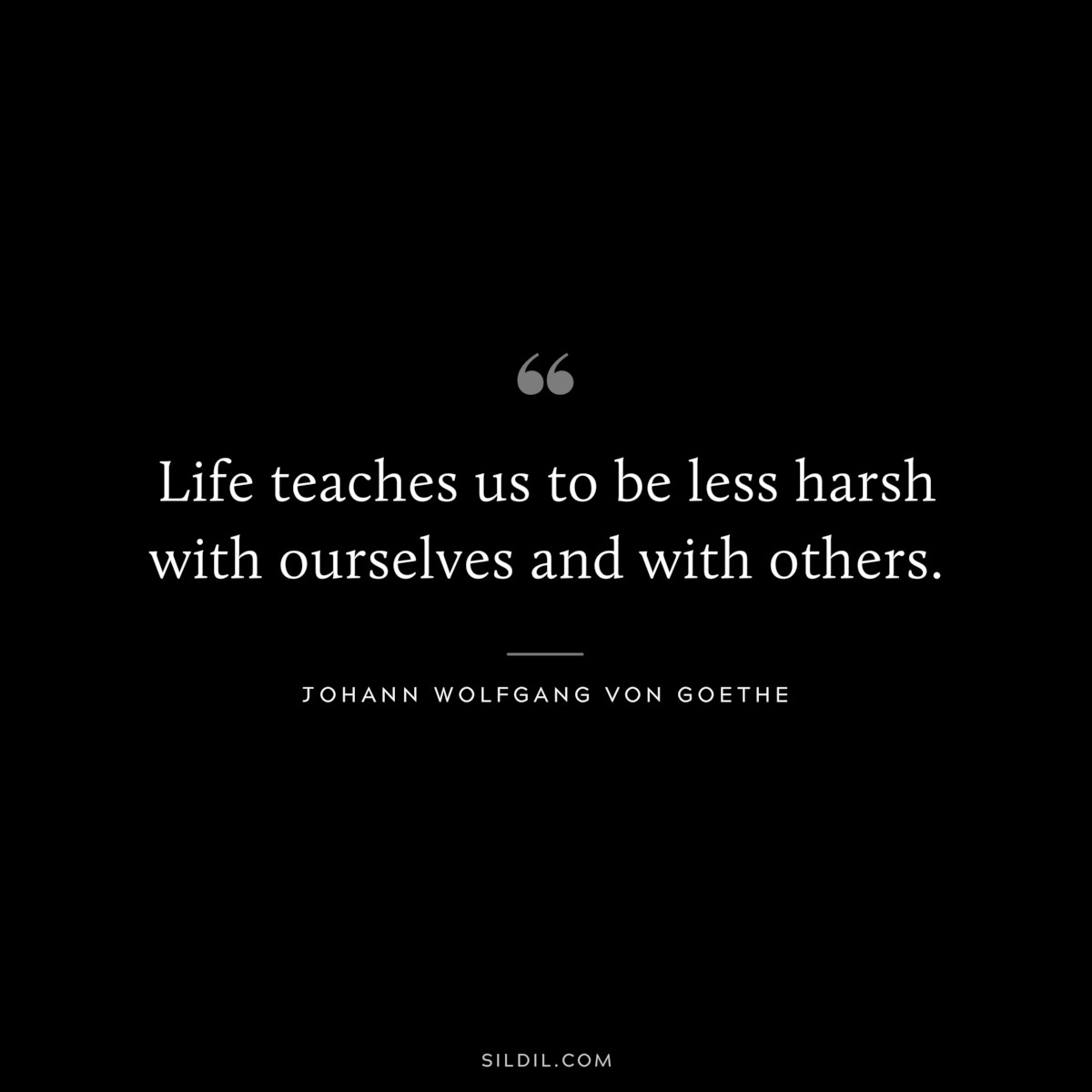 Life teaches us to be less harsh with ourselves and with others.― Johann Wolfgang von Goethe