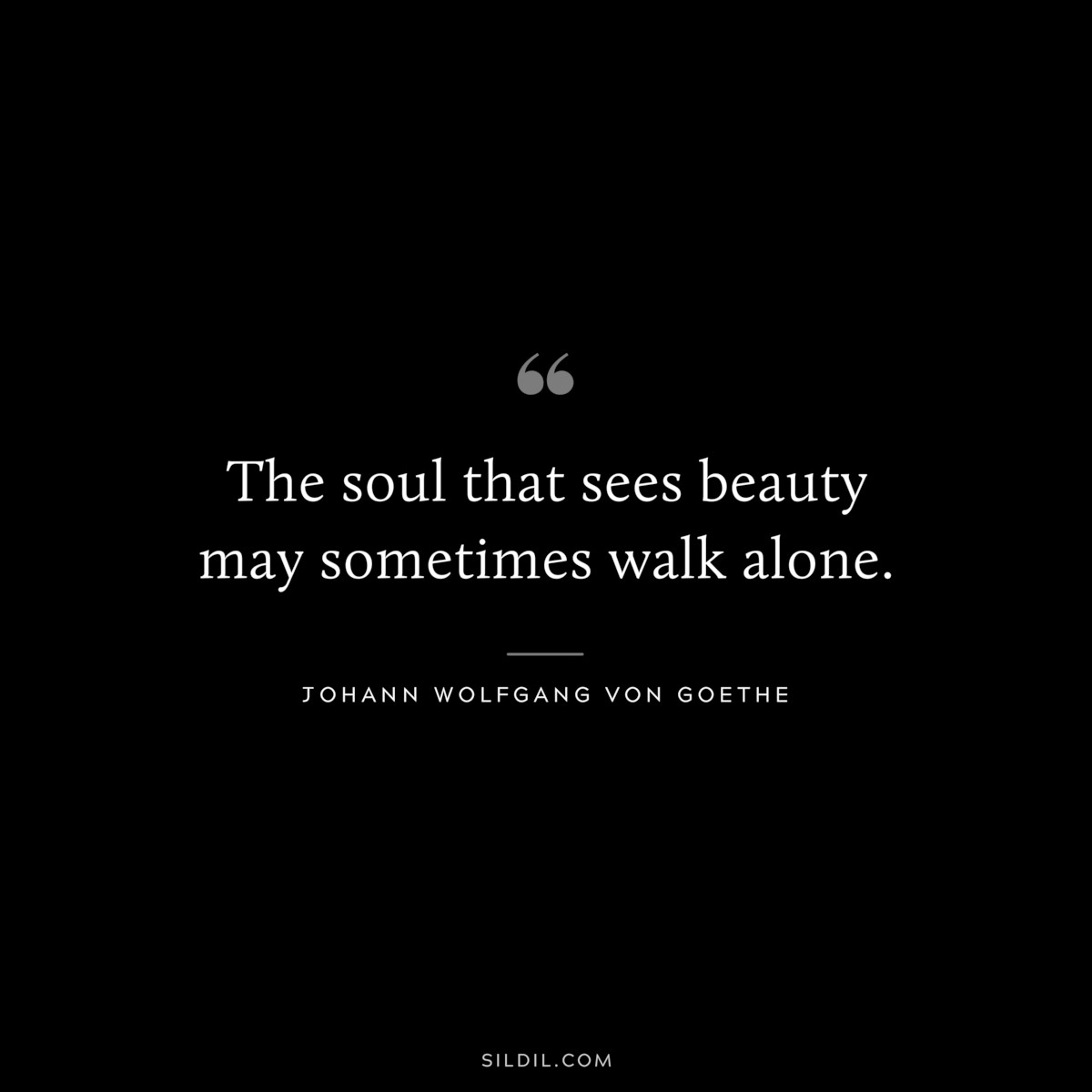 The soul that sees beauty may sometimes walk alone.― Johann Wolfgang von Goethe