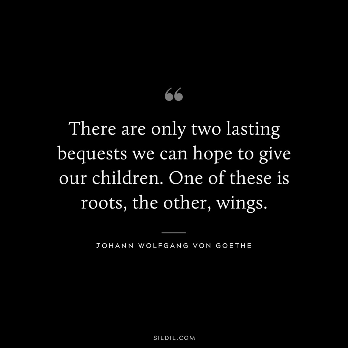 There are only two lasting bequests we can hope to give our children. One of these is roots, the other, wings.― Johann Wolfgang von Goethe
