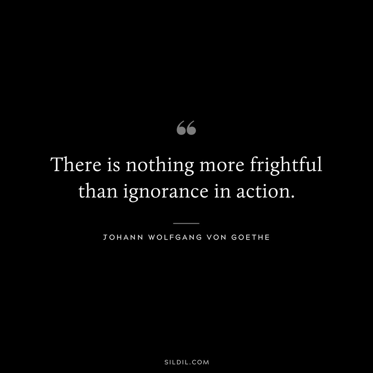 There is nothing more frightful than ignorance in action.― Johann Wolfgang von Goethe