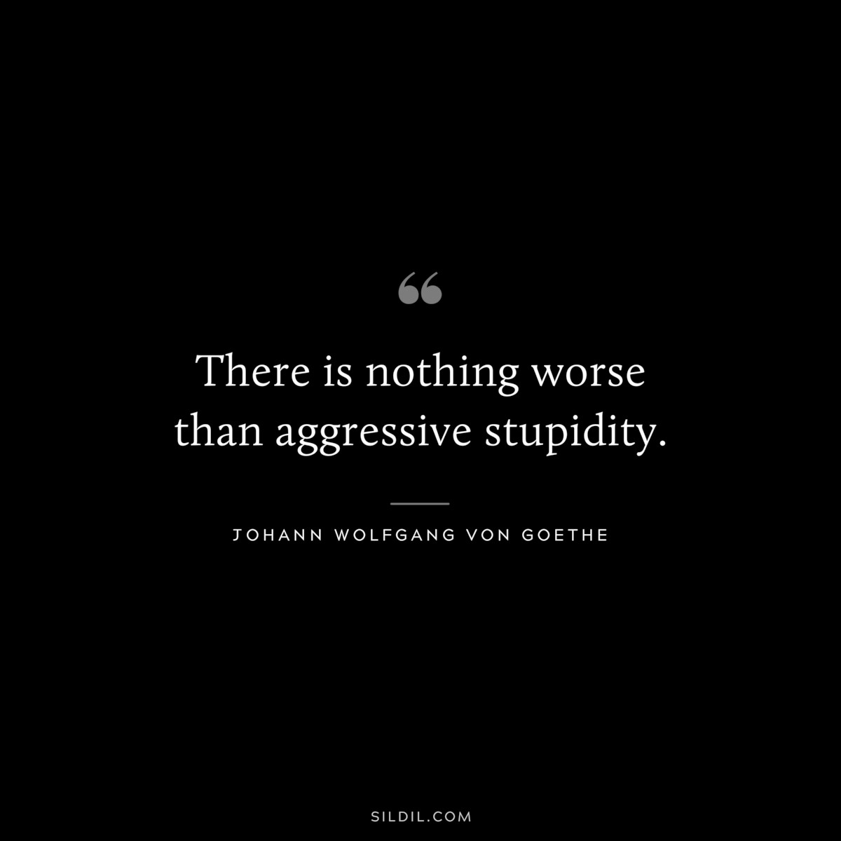 There is nothing worse than aggressive stupidity.― Johann Wolfgang von Goethe