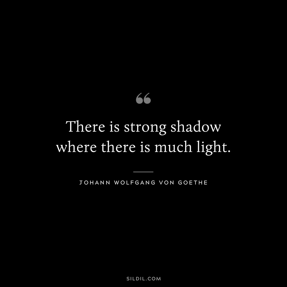 There is strong shadow where there is much light.― Johann Wolfgang von Goethe