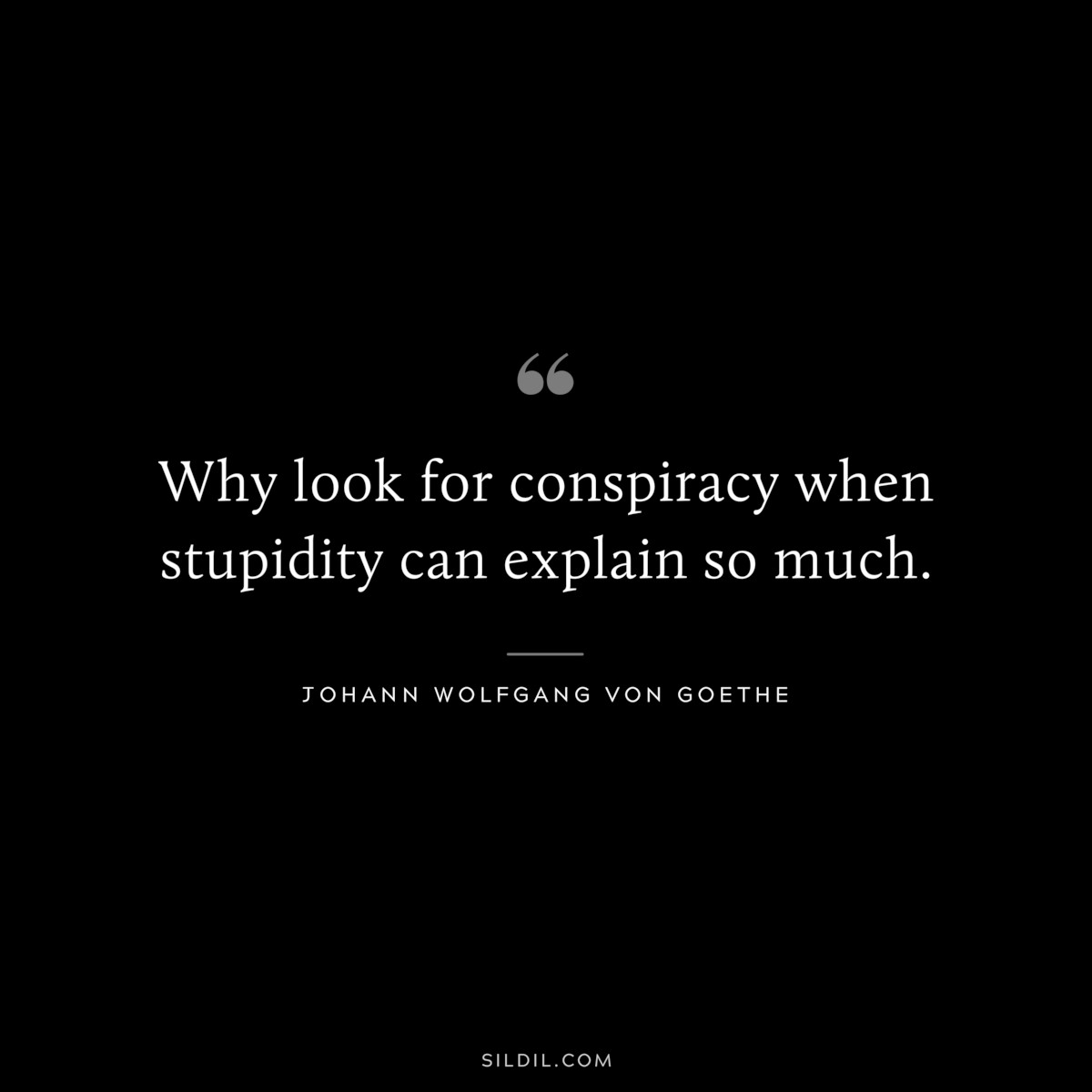 Why look for conspiracy when stupidity can explain so much.― Johann Wolfgang von Goethe