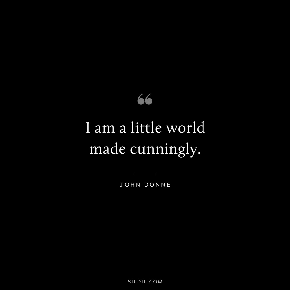 I am a little world made cunningly. ― John Donne