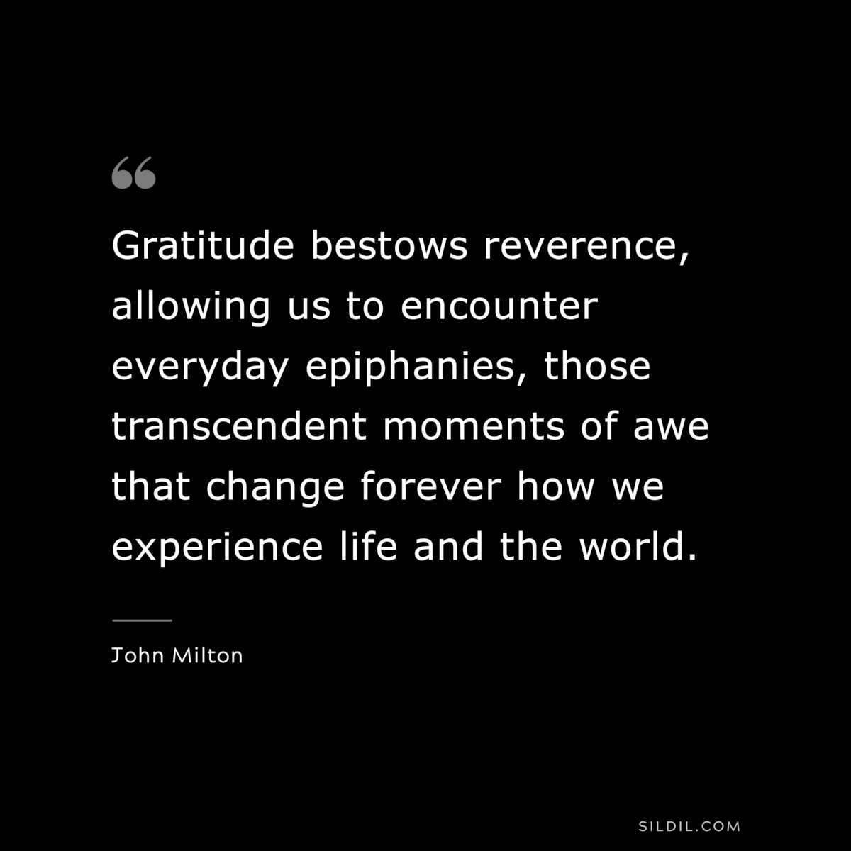 Gratitude bestows reverence, allowing us to encounter everyday epiphanies, those transcendent moments of awe that change forever how we experience life and the world. ― John Milton