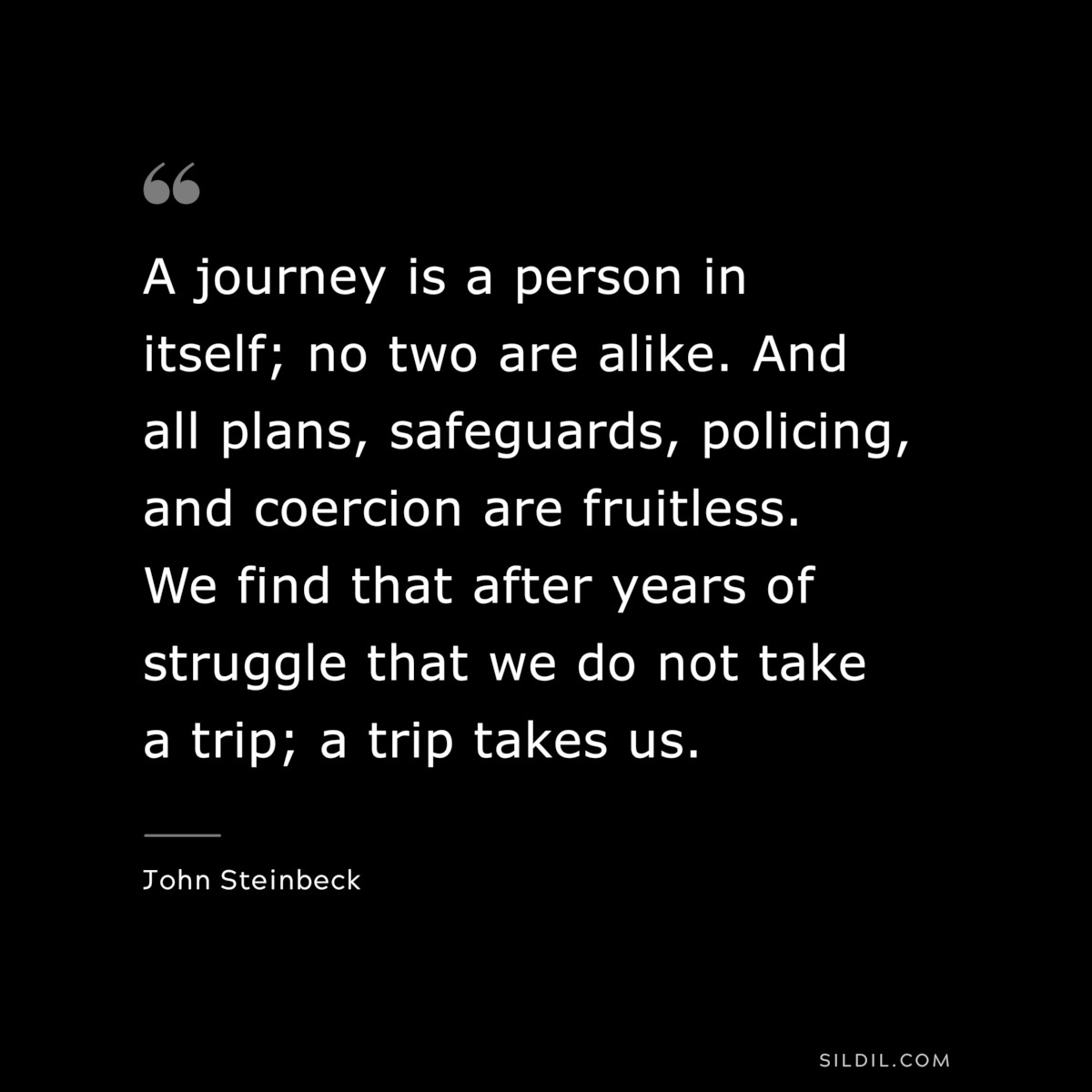 A journey is a person in itself; no two are alike. And all plans, safeguards, policing, and coercion are fruitless. We find that after years of struggle that we do not take a trip; a trip takes us.― John Steinbeck