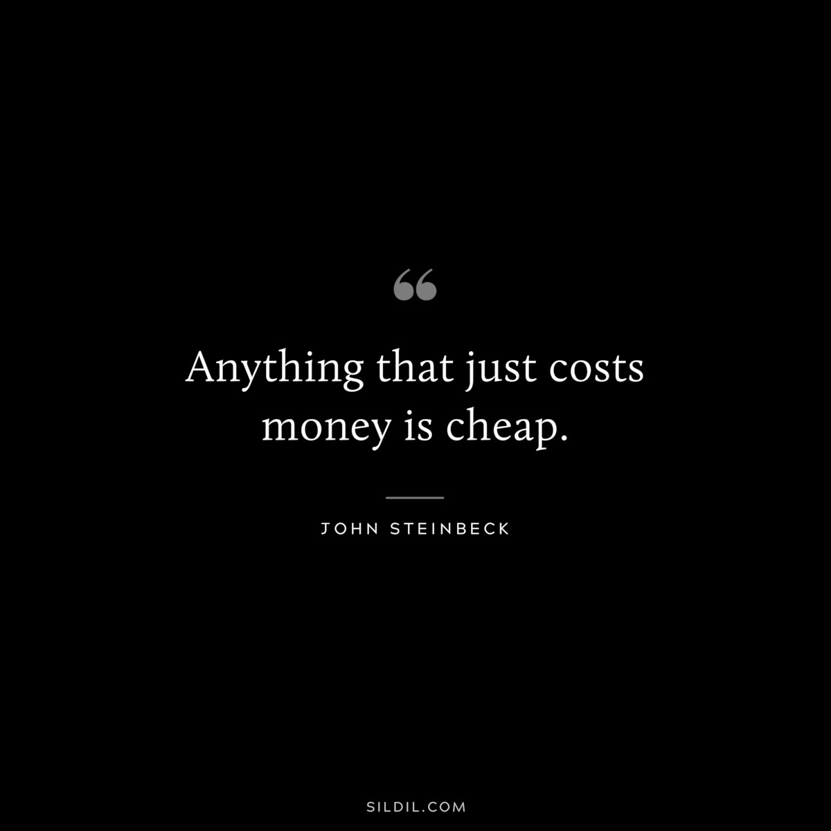Anything that just costs money is cheap.― John Steinbeck