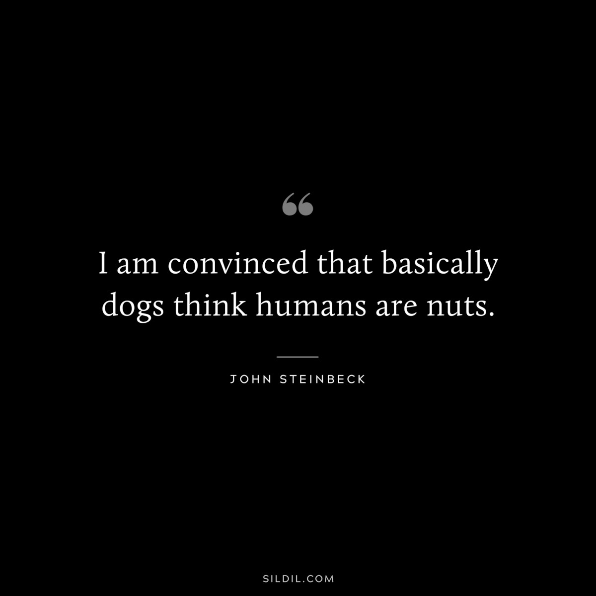 I am convinced that basically dogs think humans are nuts.― John Steinbeck