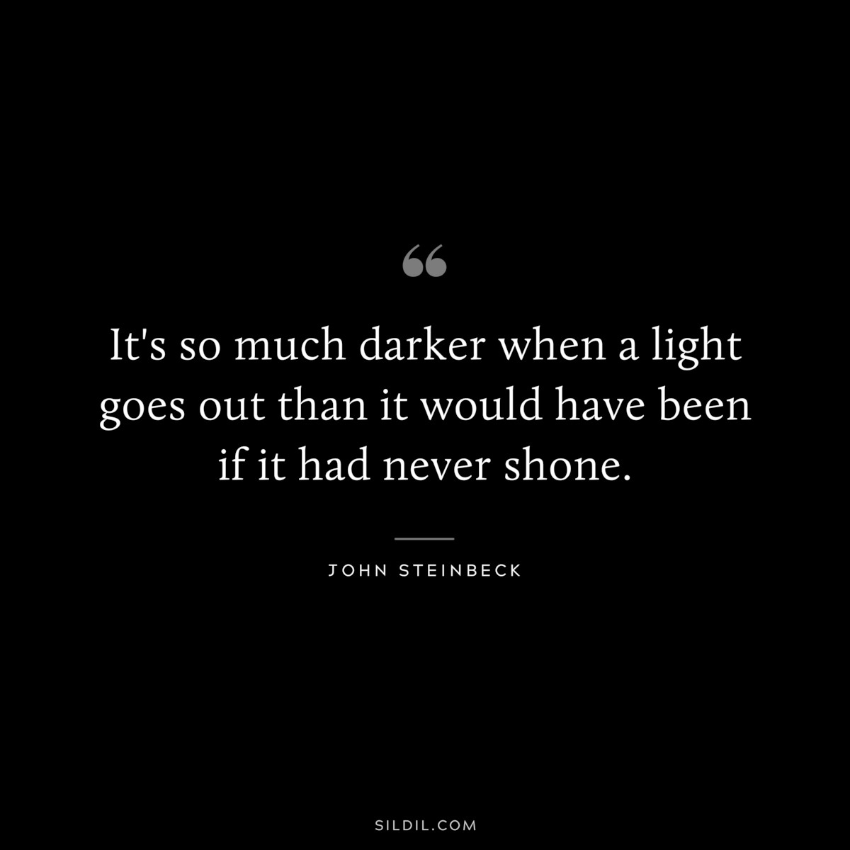 It's so much darker when a light goes out than it would have been if it had never shone.― John Steinbeck