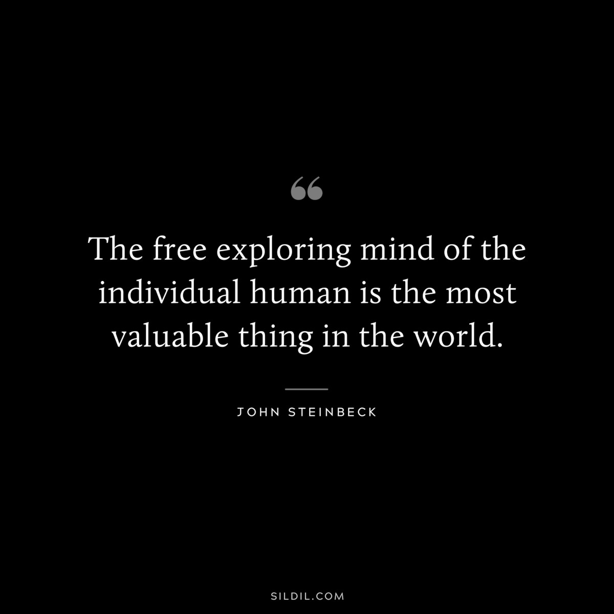 The free exploring mind of the individual human is the most valuable thing in the world.― John Steinbeck