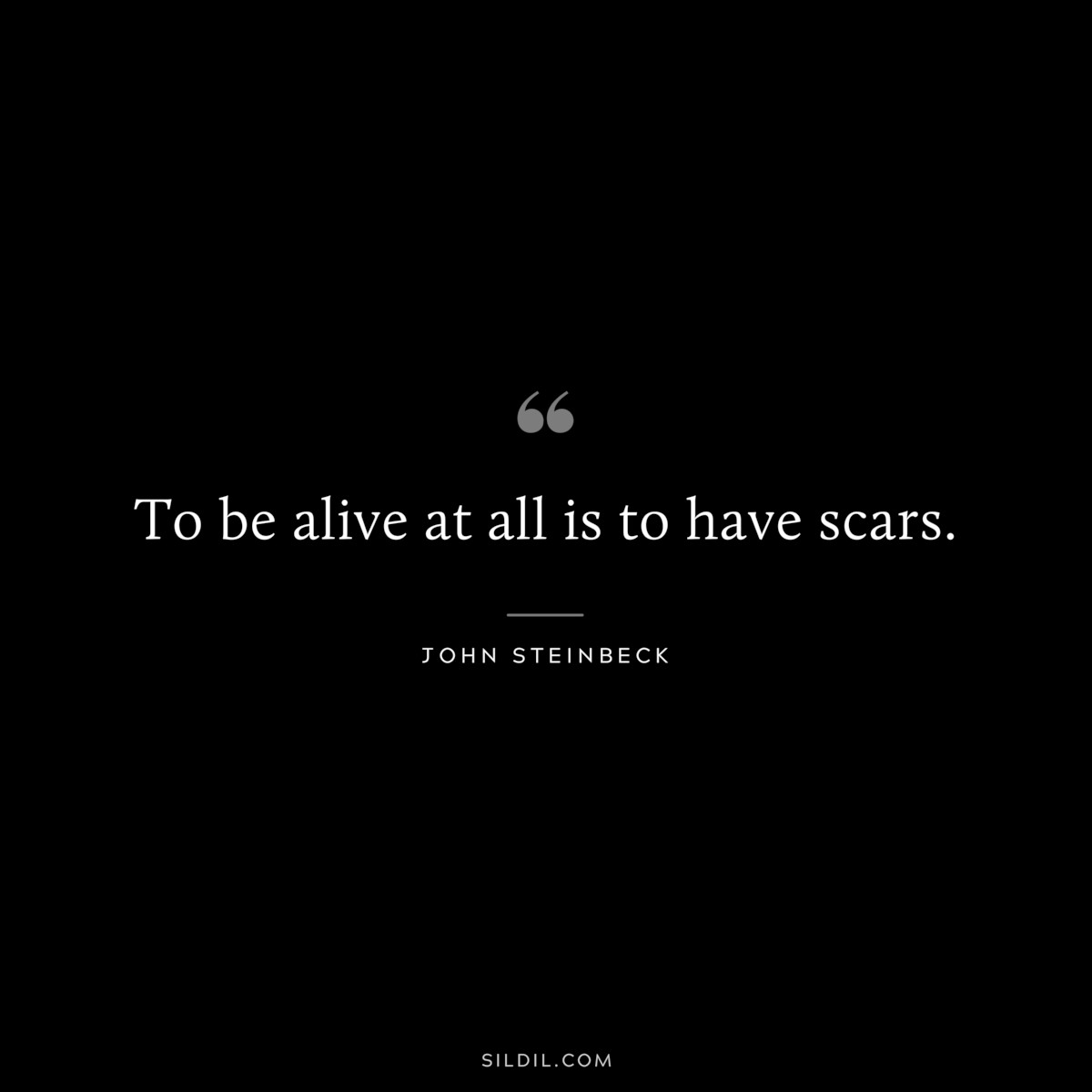 To be alive at all is to have scars.― John Steinbeck