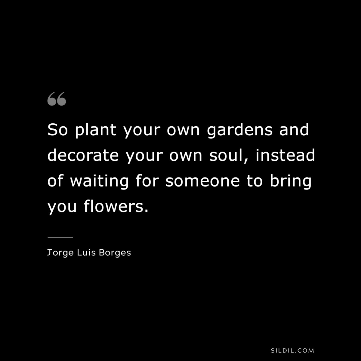 So plant your own gardens and decorate your own soul, instead of waiting for someone to bring you flowers. ― Jorge Luis Borges