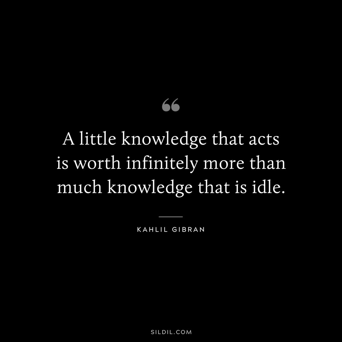 A little knowledge that acts is worth infinitely more than much knowledge that is idle. ― Kahlil Gibran